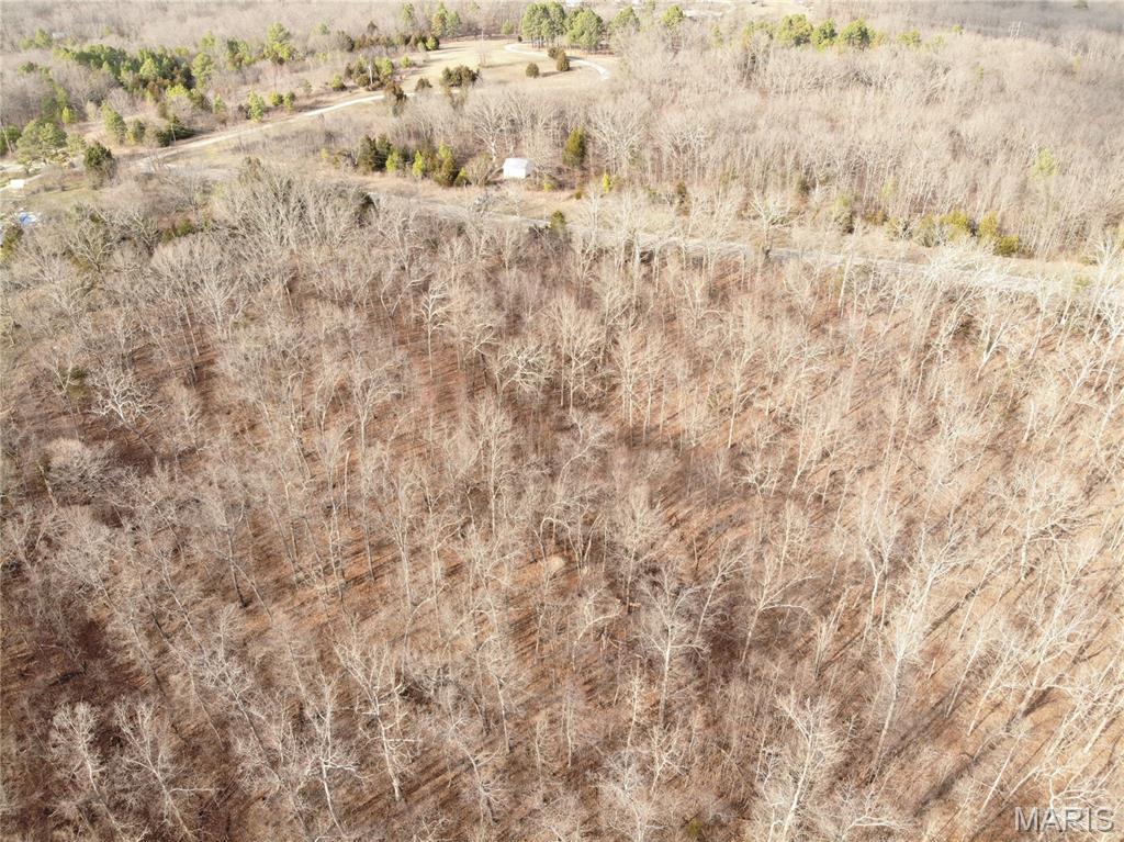 Tbb State Route North Bourbon, MO 65441 - Photo 10 of 12