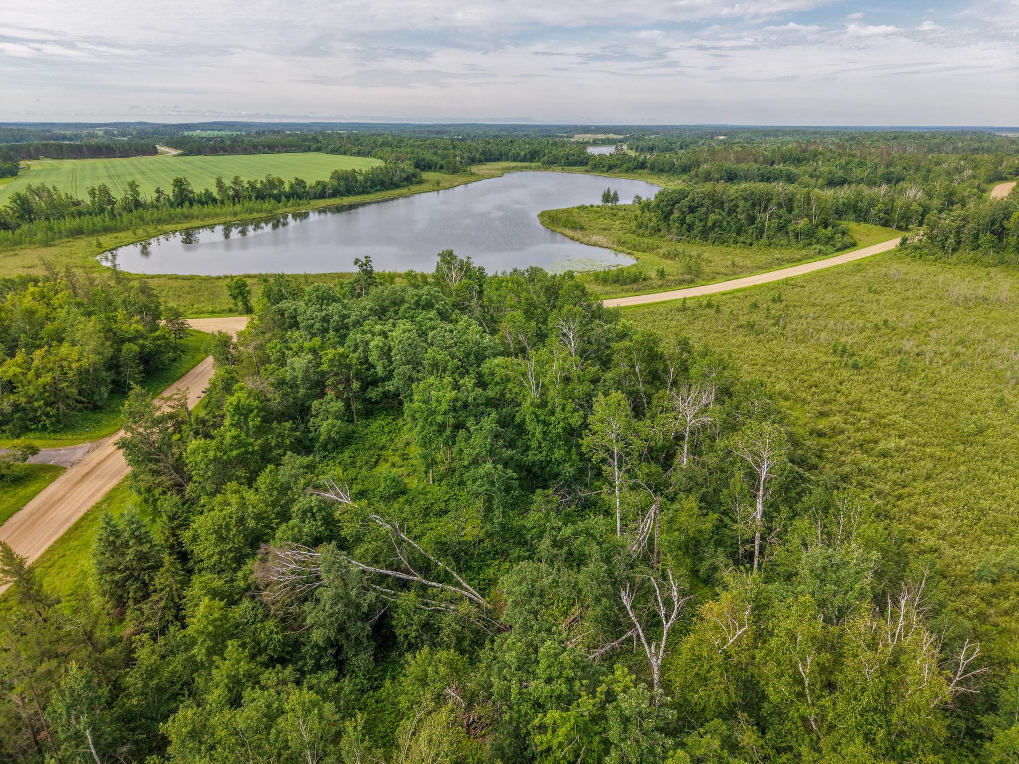 Tbd Grant Hills Road Southwest Bemidji, MN 56601 - Photo 23 of 27 Gallery Image 23