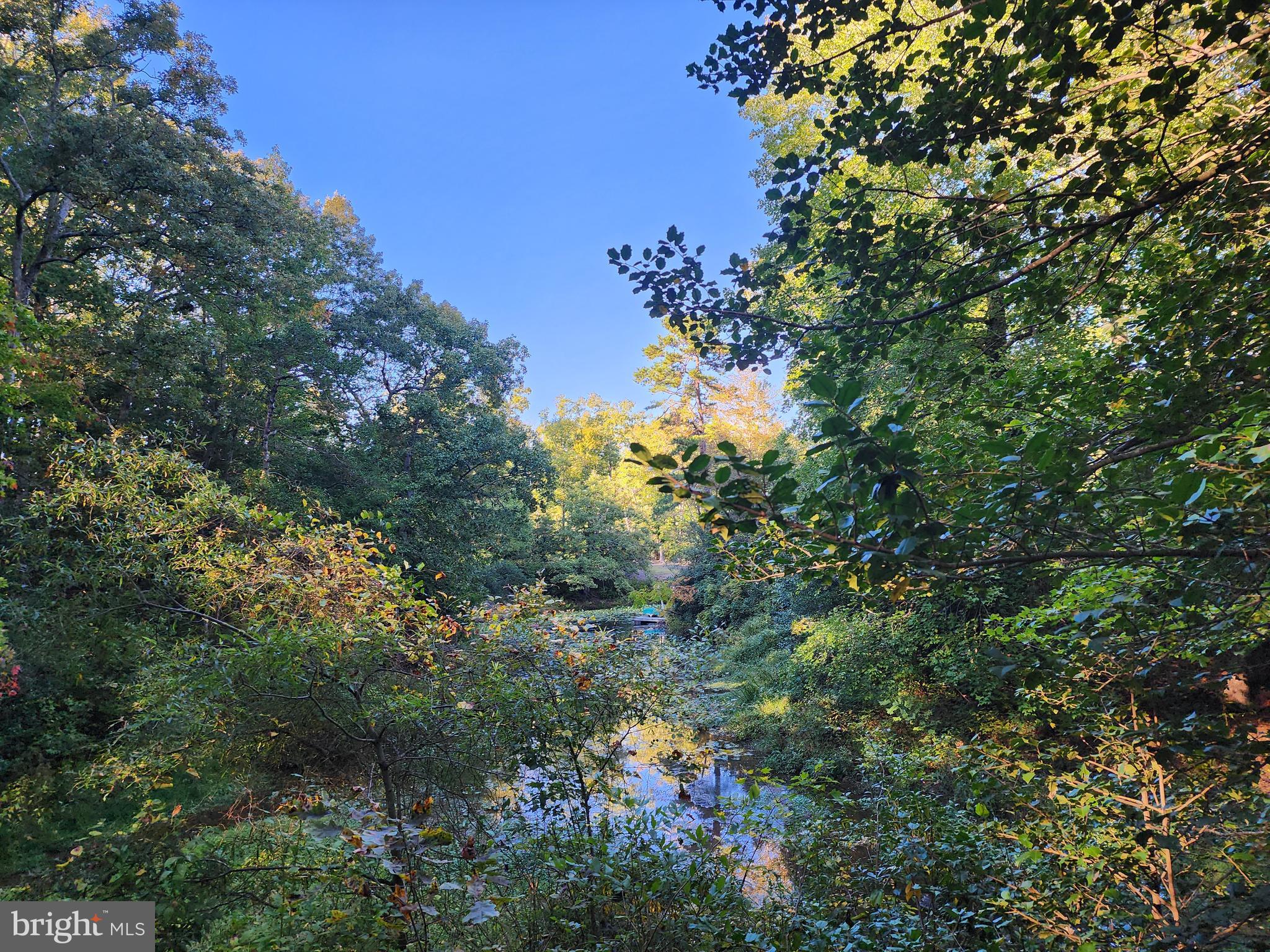 View of the lake finger from Lot