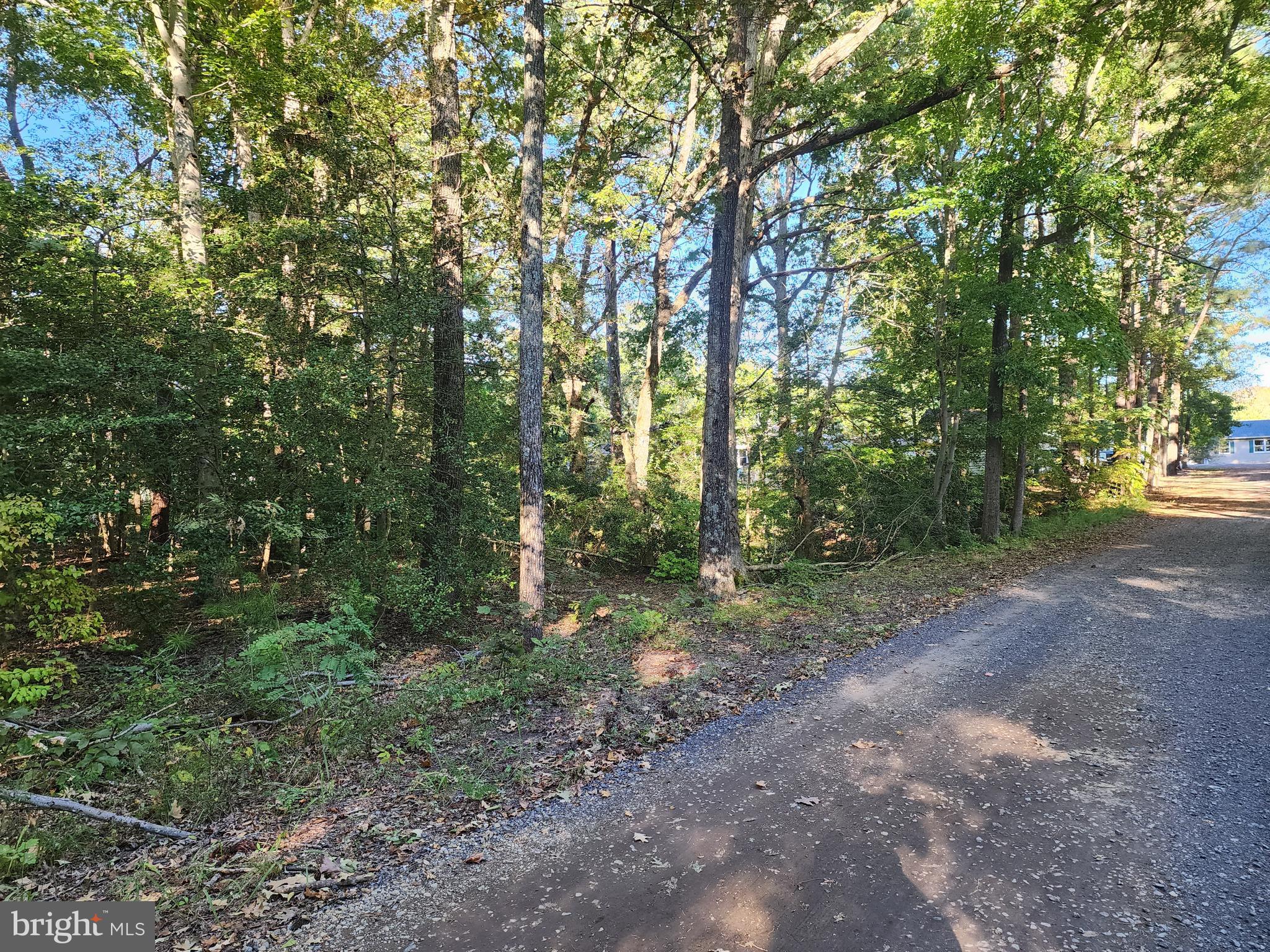 Cedar Lane Colonial Beach, VA 22443 - Photo 5 of 7 Front of lot from Cedar Ln