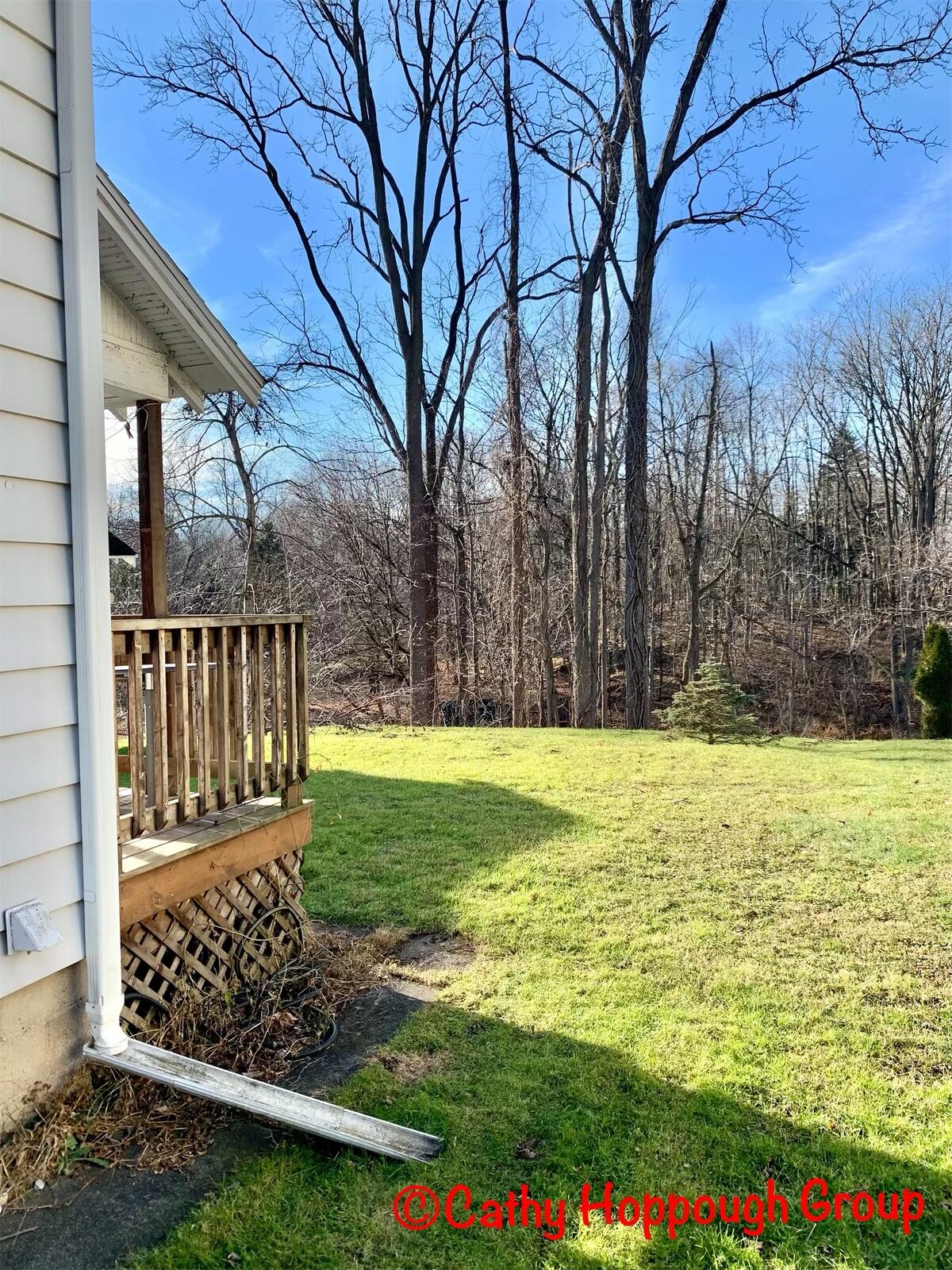 437 Rice Street Ionia, MI 48846 - Photo 19 of 20 8C5EA171-23C5-4109-8341-0F5E774FEBE9