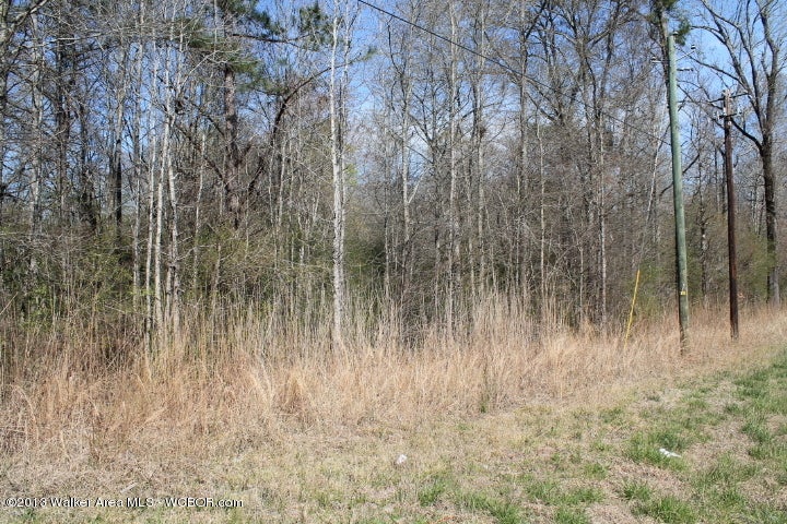 269 Bennett Road Jasper, AL 35503 - Photo 21 of 23 Gallery Image 21