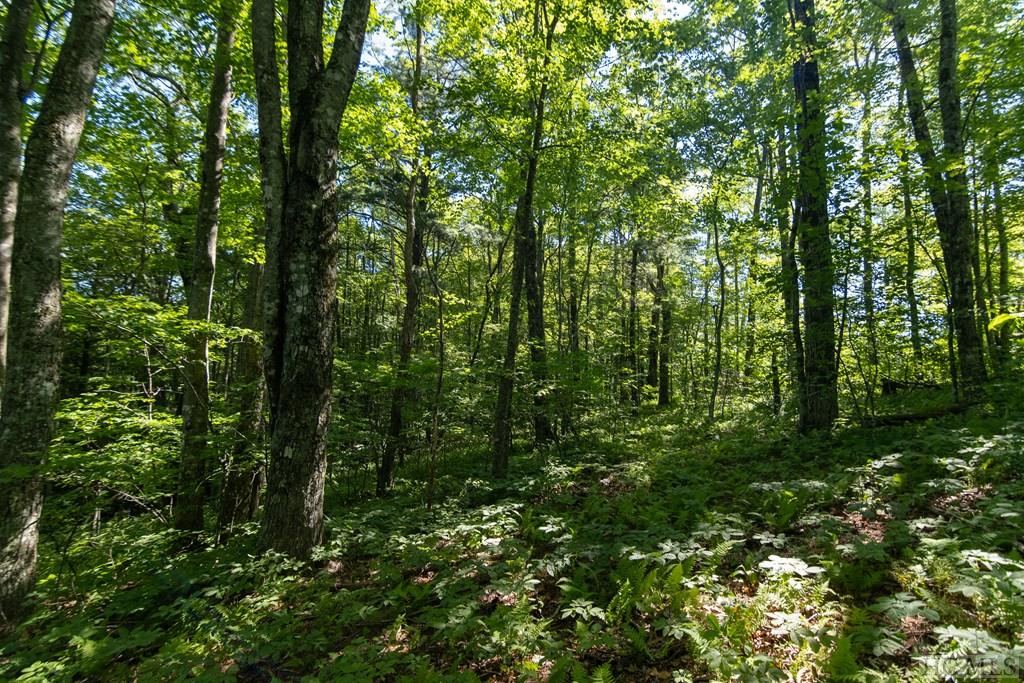 Lot 6 East Ridge Road Cashiers, NC 28717 - Photo 5 of 28 Gallery Image 5