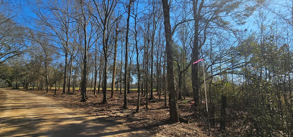 4.9-acres Grady Garner Road Slocomb, AL 36375 - Photo 11 of 70