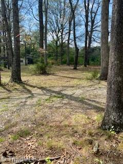 708 Lakedale Road Colfax, NC 27235 - Photo 3 of 9