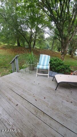 119 Blue Ridge Court Oak Ridge, TN 37830 - Photo 19 of 22 20210718231158041923000000-o