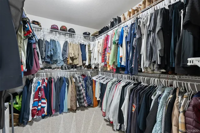 $725,000 | 7315 Blue Water Drive, Castle Rock, CO 80108