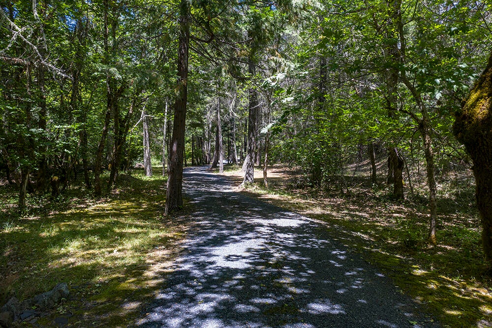 8566 Deer Creek Road Selma, OR 97538 - Photo 57 of 74 57