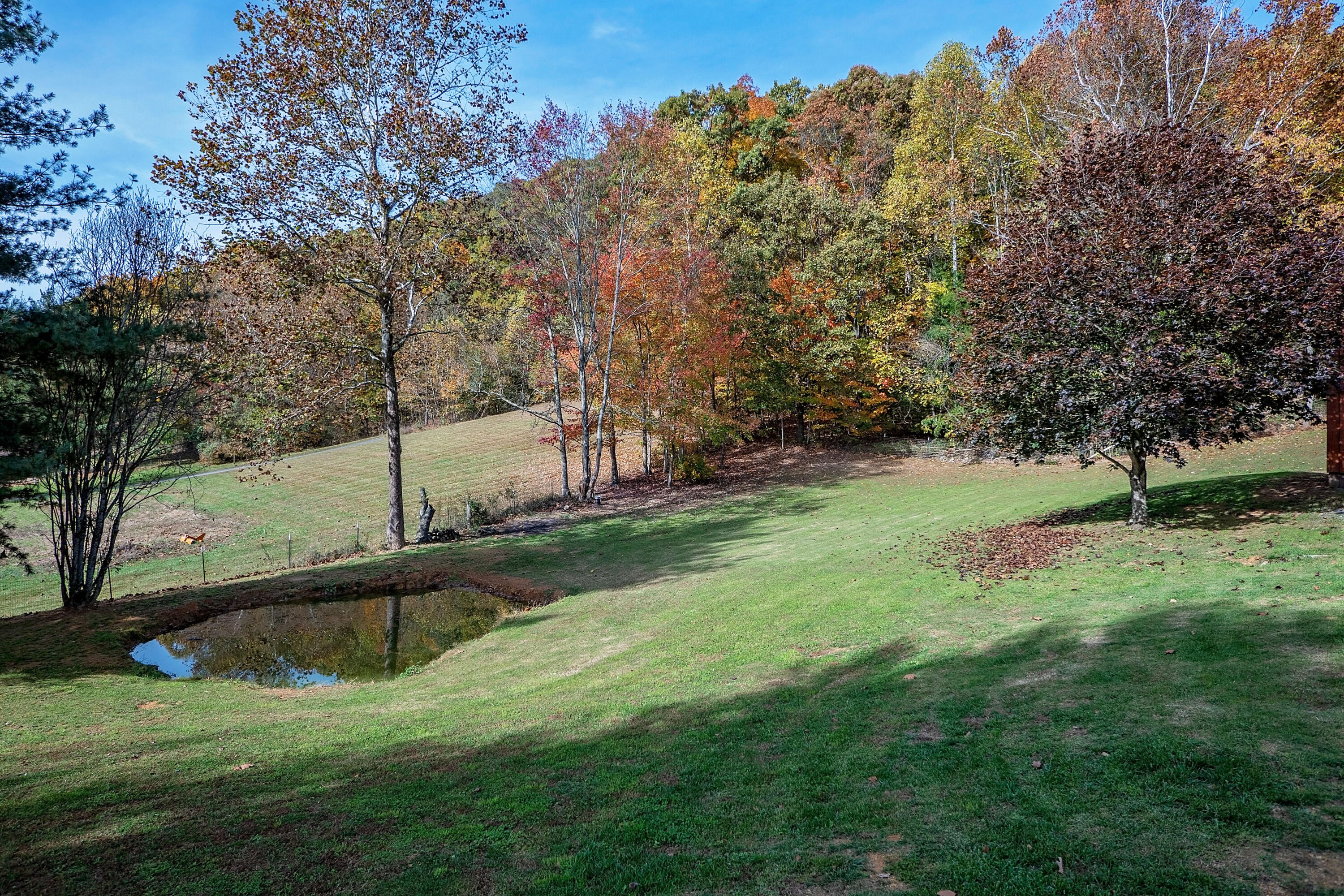 424 Poplar Grove Road Kingsport, TN 37664 - Photo 15 of 62 P1550468