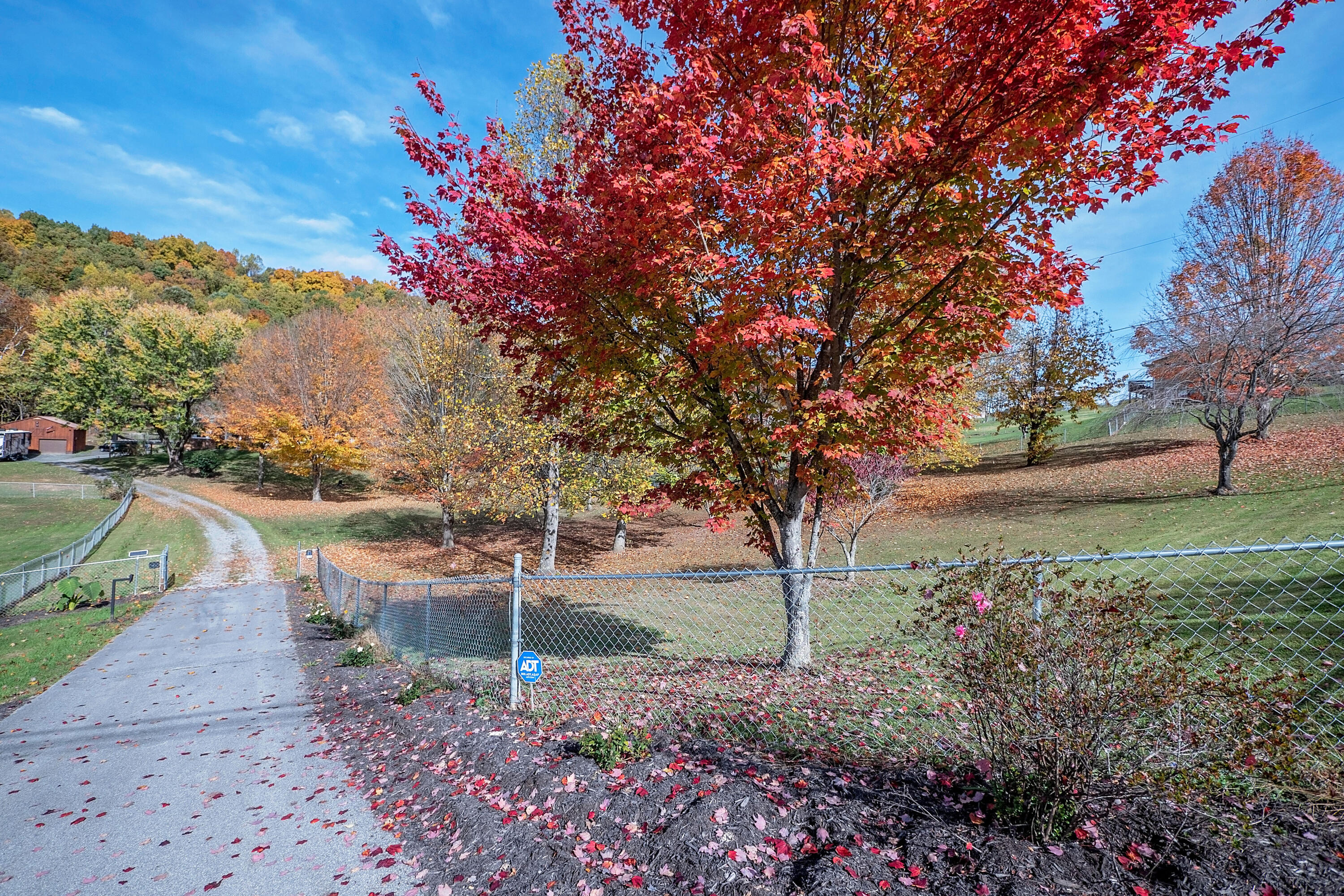 424 Poplar Grove Road Kingsport, TN 37664 - Photo 4 of 62 P1550425