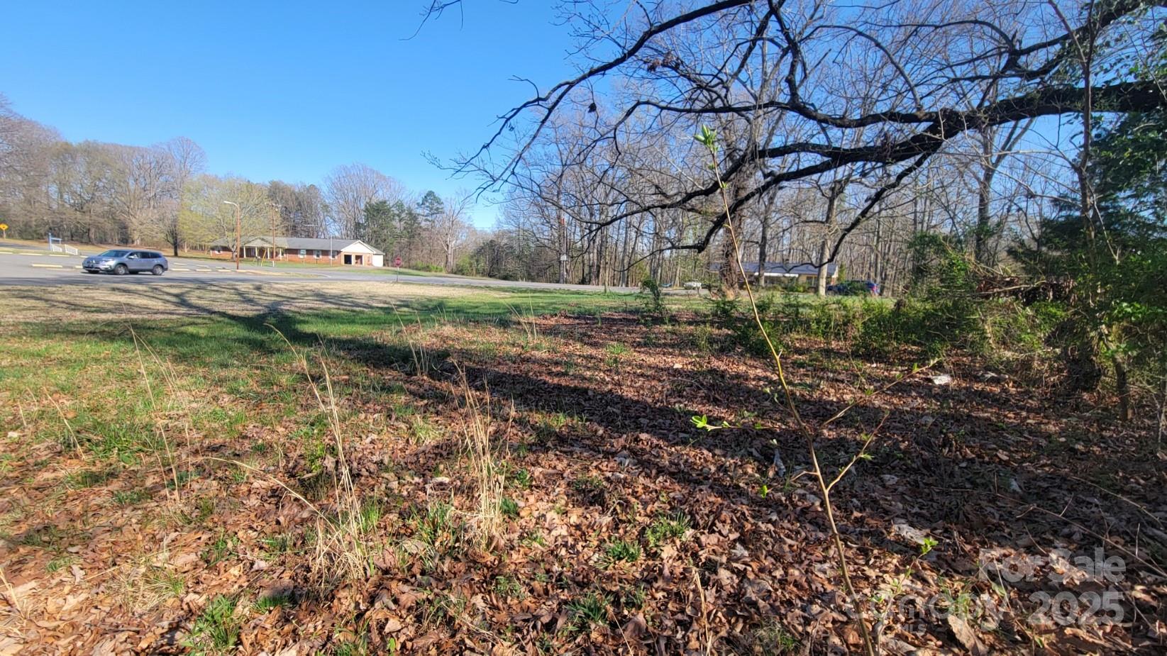 0 Southside Road Lincolnton, NC 28092 - Photo 12 of 16 a view of a yard with a tree