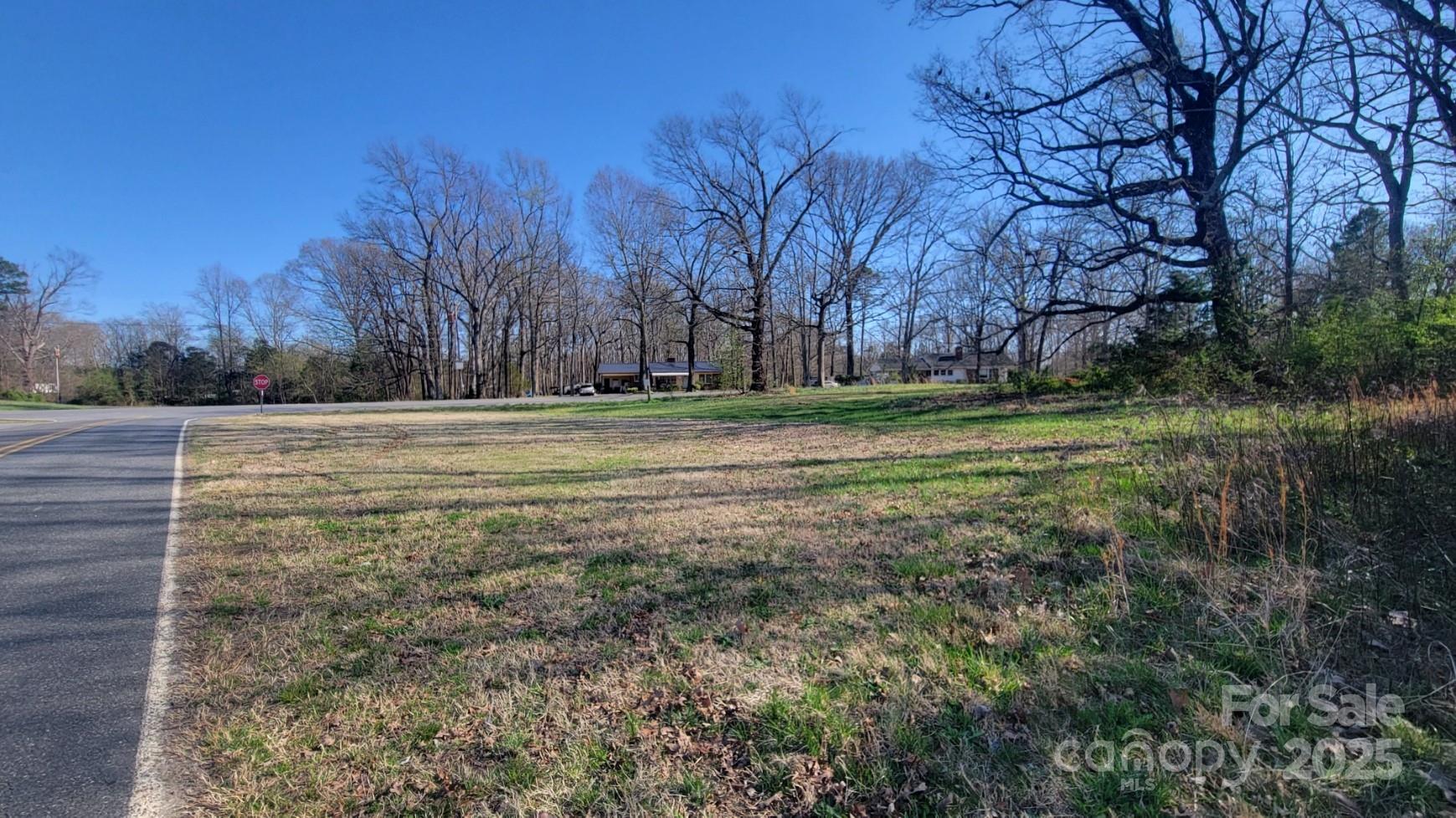 0 Southside Road Lincolnton, NC 28092 - Photo 13 of 16 a view of a backyard with large trees