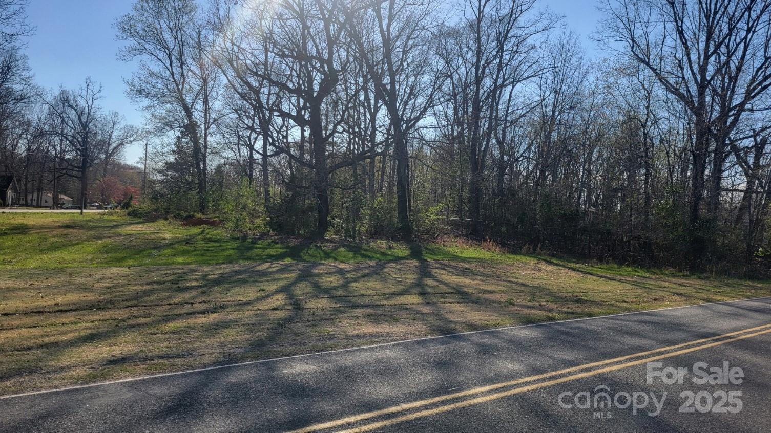 0 Southside Road Lincolnton, NC 28092 - Photo 15 of 16 a view of a backyard of a house