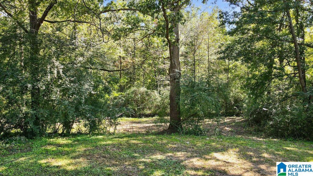 2770 Warrior Jasper Road Warrior, AL 35180 - Photo 28 of 34