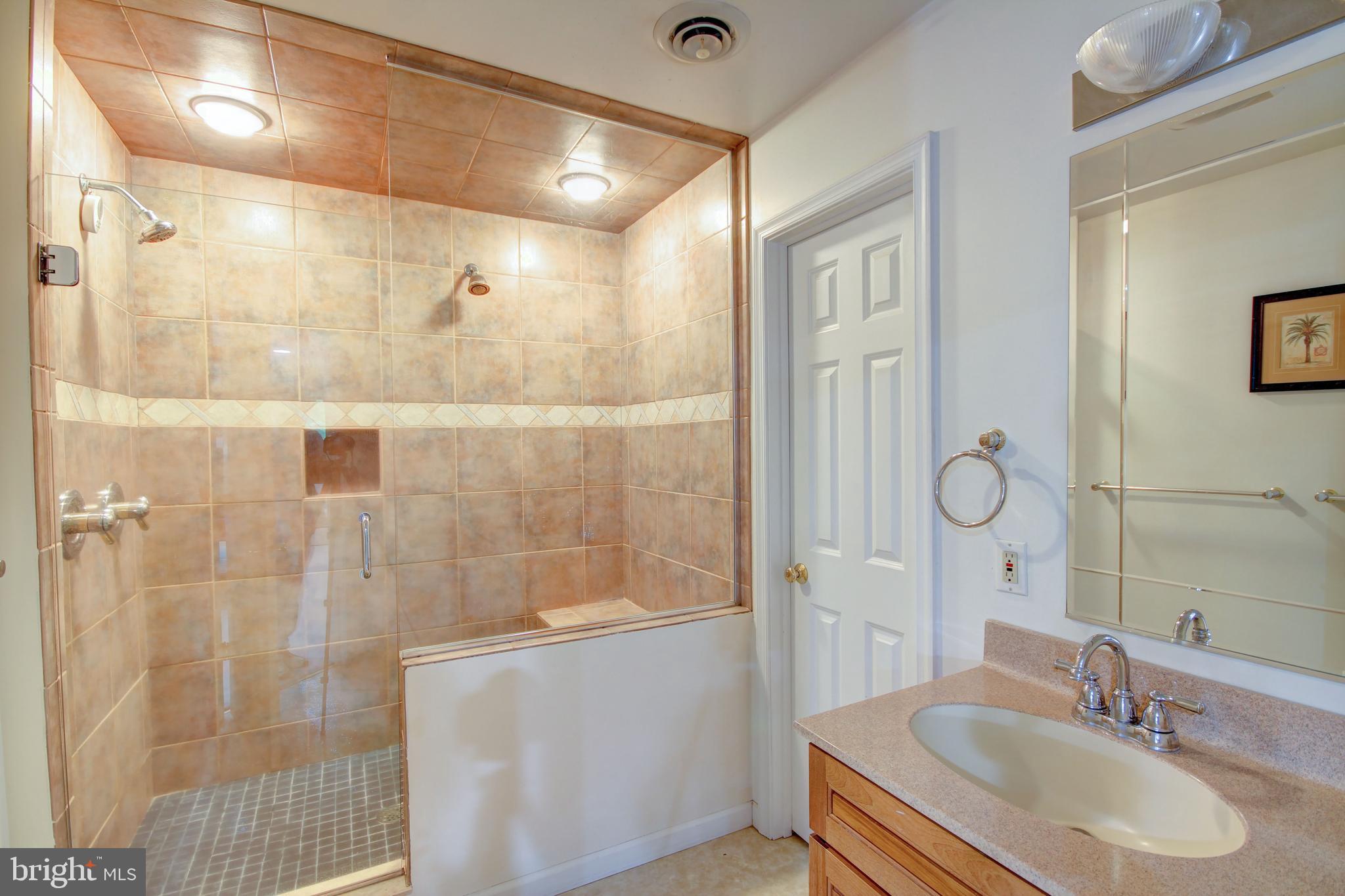 12412 Ivy Mill Road Reisterstown, MD 21136 - Photo 24 of 44 Master bath w/custom 2 head shower
