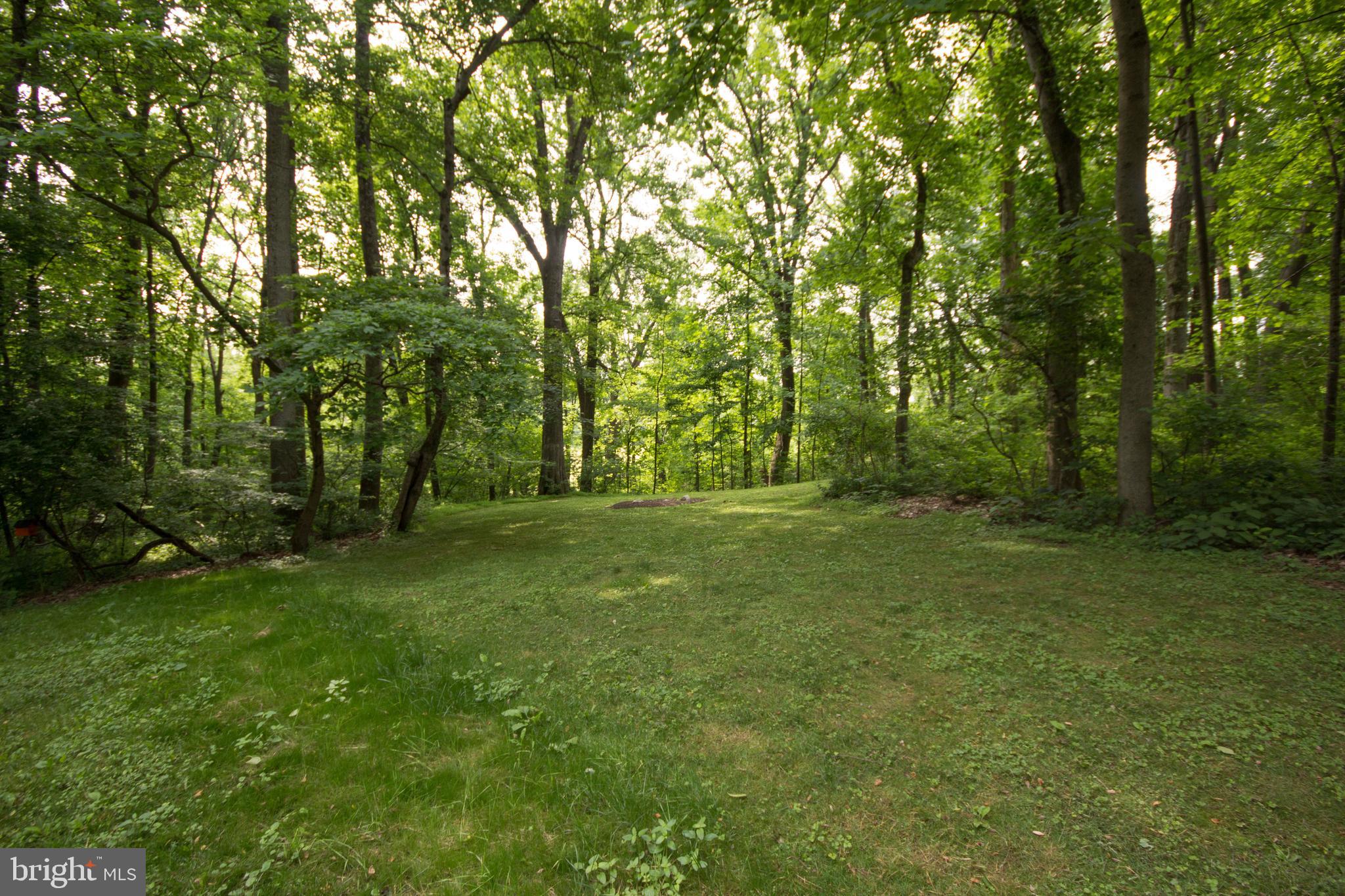12412 Ivy Mill Road Reisterstown, MD 21136 - Photo 38 of 44 Back yard