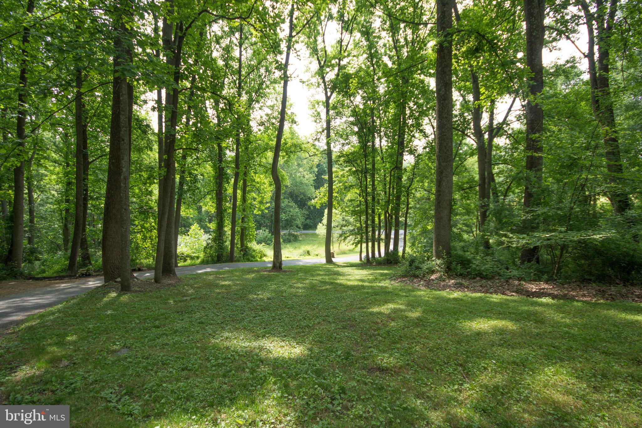 12412 Ivy Mill Road Reisterstown, MD 21136 - Photo 40 of 44 View down driveway