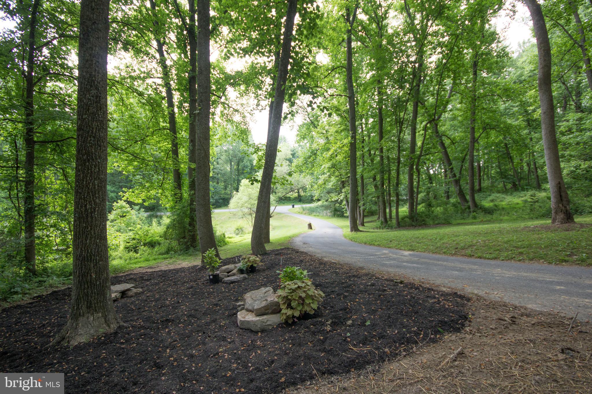 12412 Ivy Mill Road Reisterstown, MD 21136 - Photo 41 of 44 View down driveway