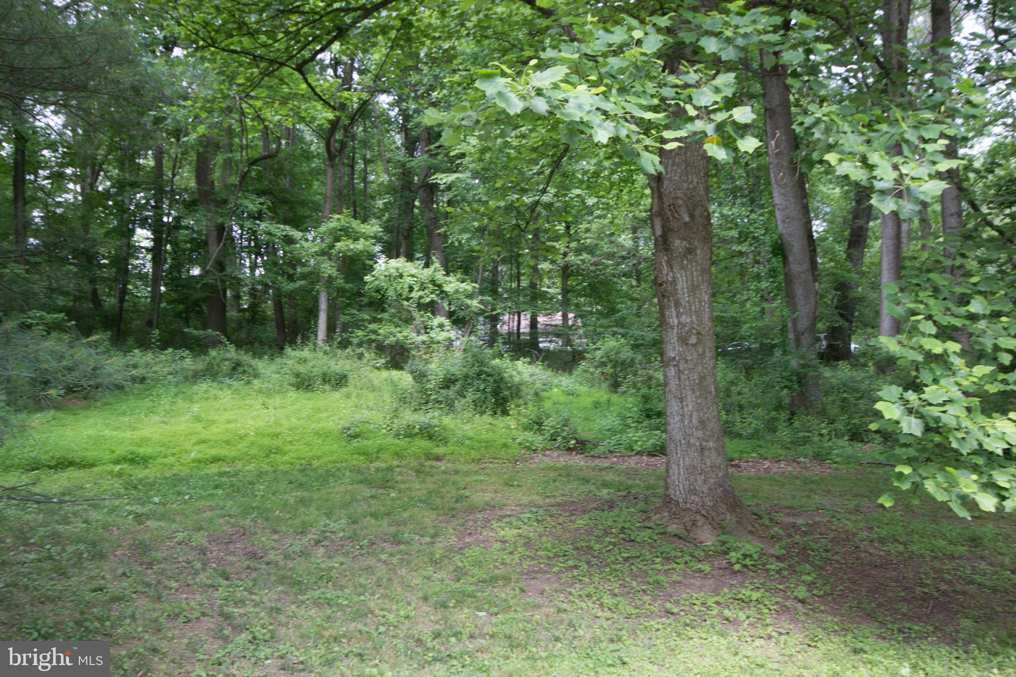 12412 Ivy Mill Road Reisterstown, MD 21136 - Photo 43 of 44 View of house from street