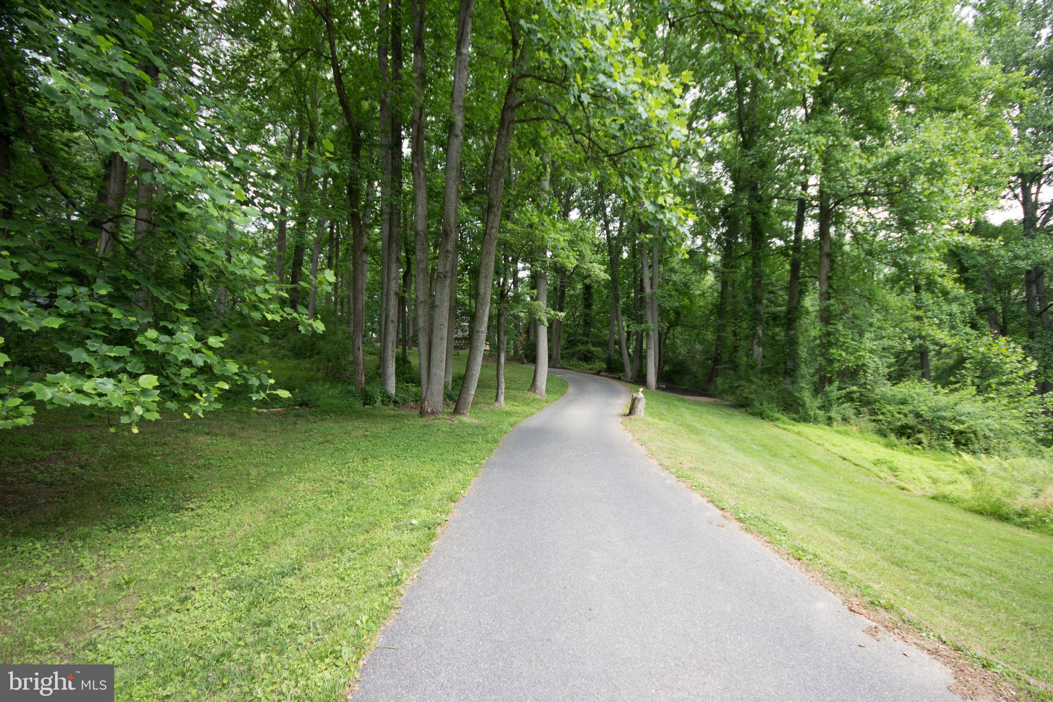 12412 Ivy Mill Road Reisterstown, MD 21136 - Photo 44 of 44 Driveway