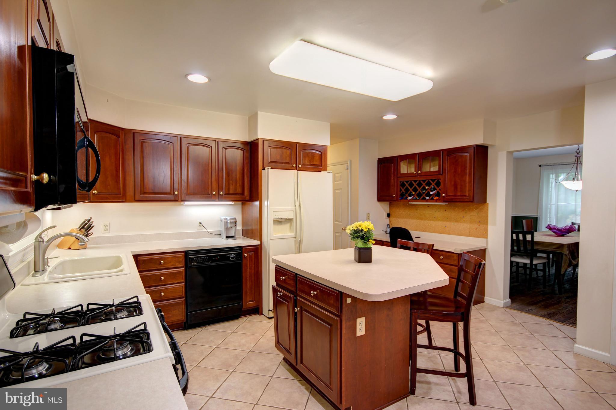 12412 Ivy Mill Road Reisterstown, MD 21136 - Photo 8 of 44 Kitchen with propane stove