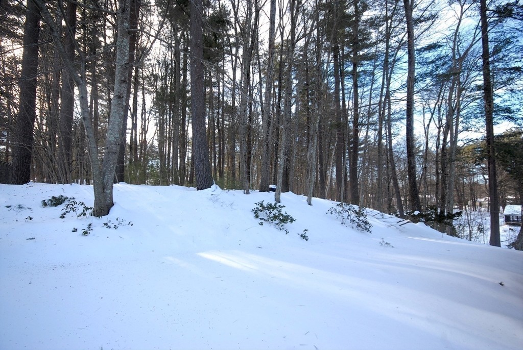62 Edgewood Road Concord, MA 01742 - Photo 14 of 22