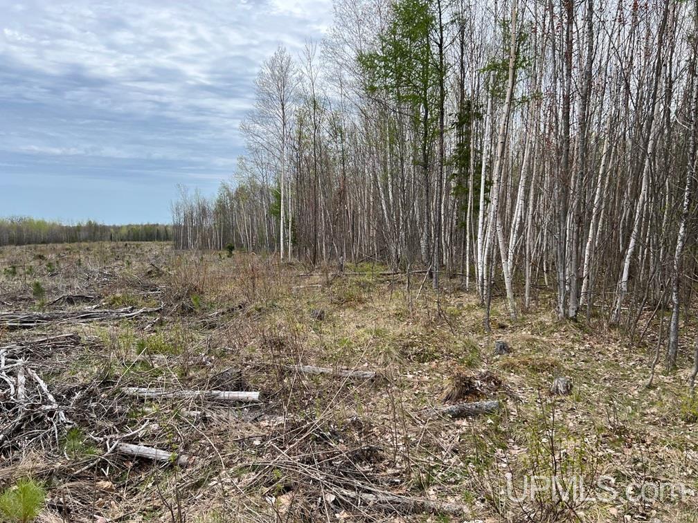Tbdw Tbdw Off Townline Road Lanse, MI 49946 - Photo 6 of 17