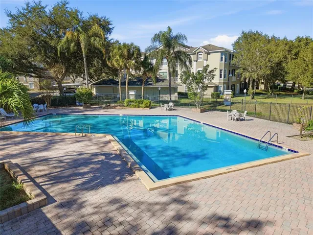 a view of a swimming pool with a lawn chairs and palm trees