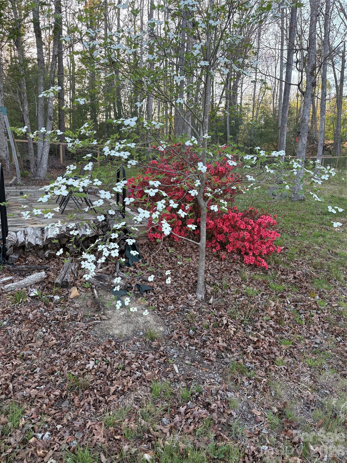 22 Timberleaf Drive Fletcher, NC 28732 - Photo 47 of 47