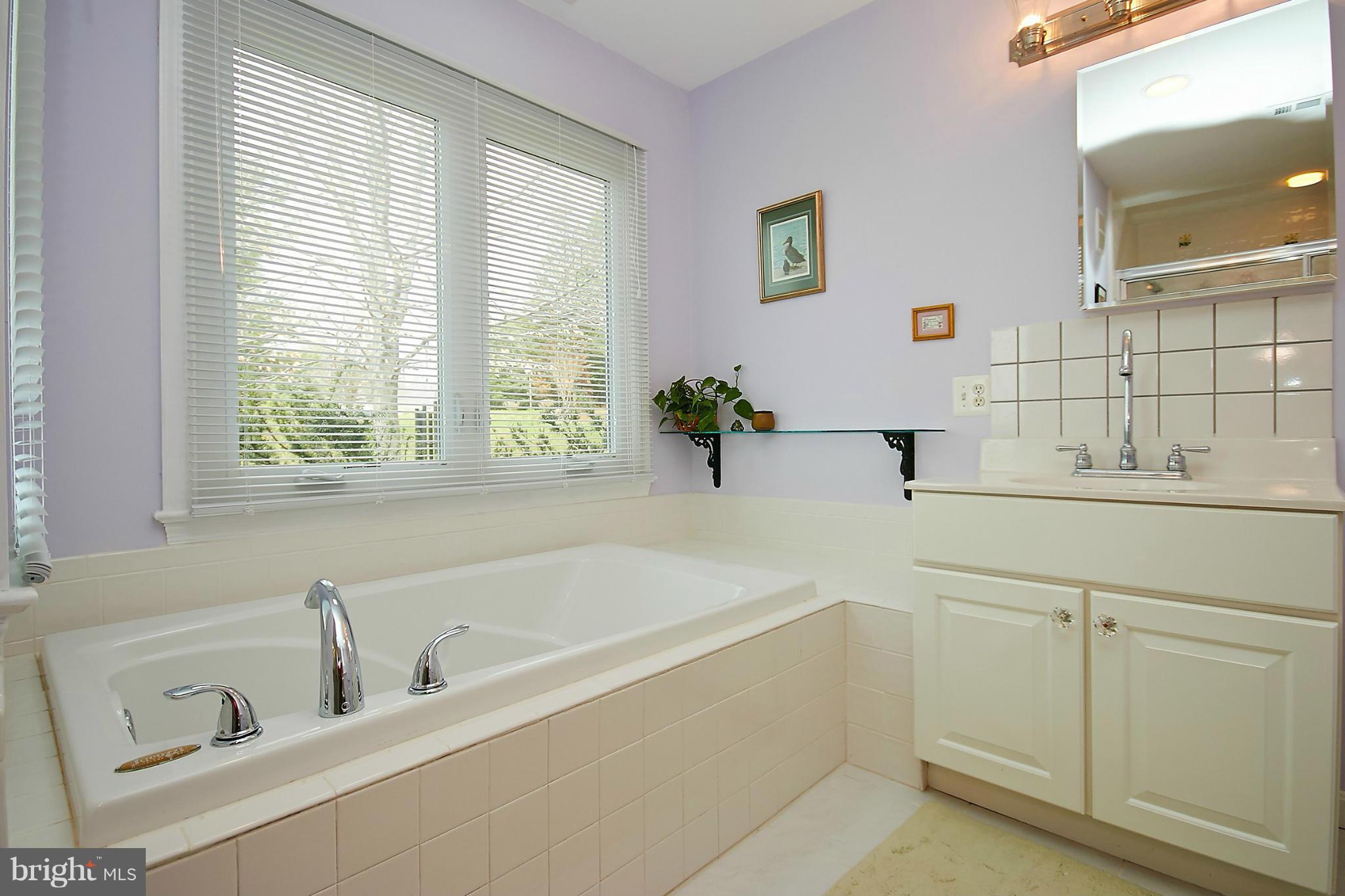17189 Clarksridge Road Leesburg, VA 20176 - Photo 15 of 30 MASTER BATH