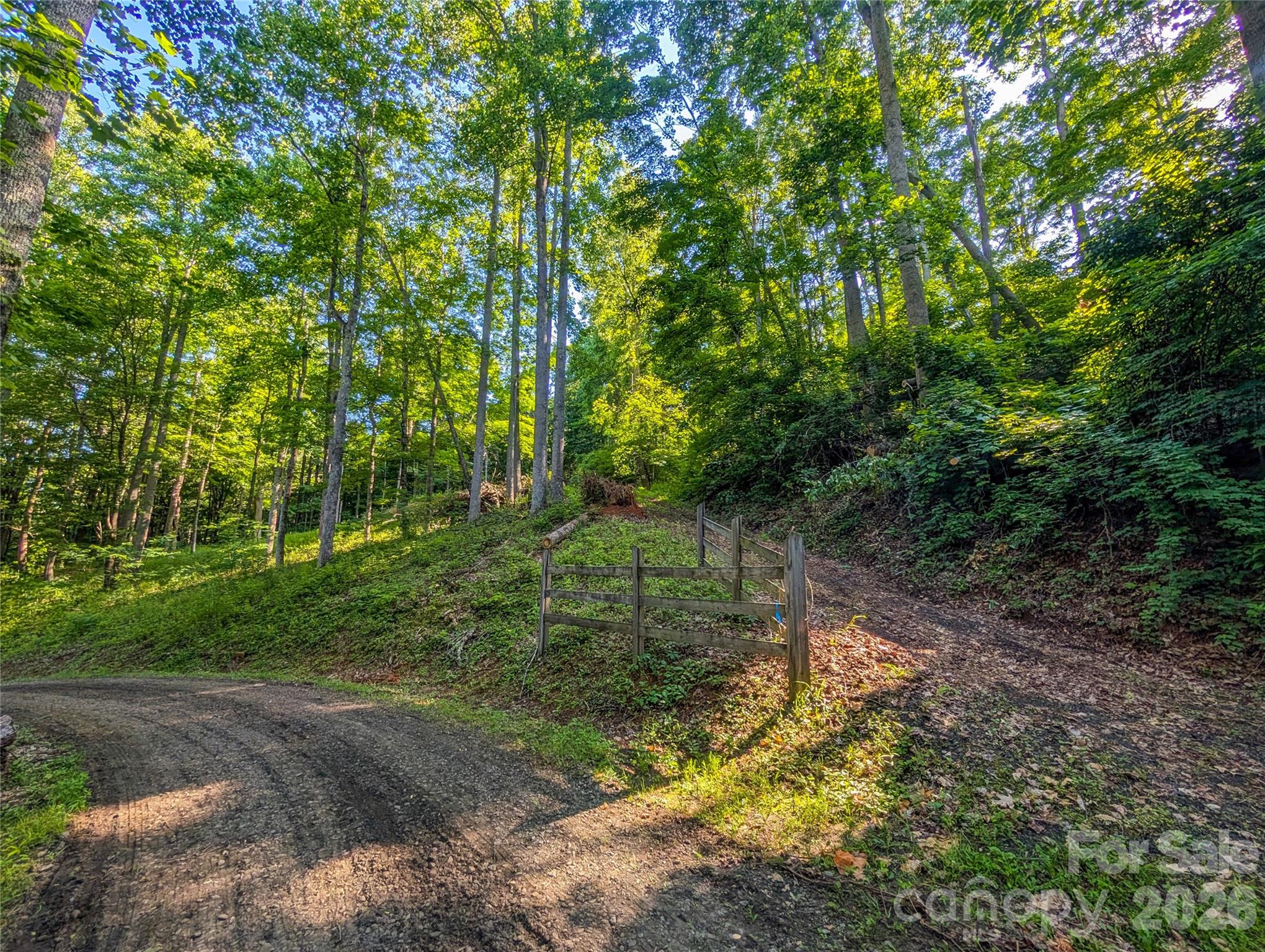 0 Amber Ranches, Unit 47 Bakersville, NC 28705 - Photo 1 of 18