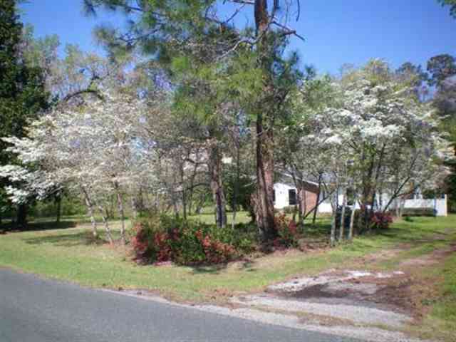 417 Highway 762 Loris, SC 29569 - Photo 5 of 5 Gallery Image 5