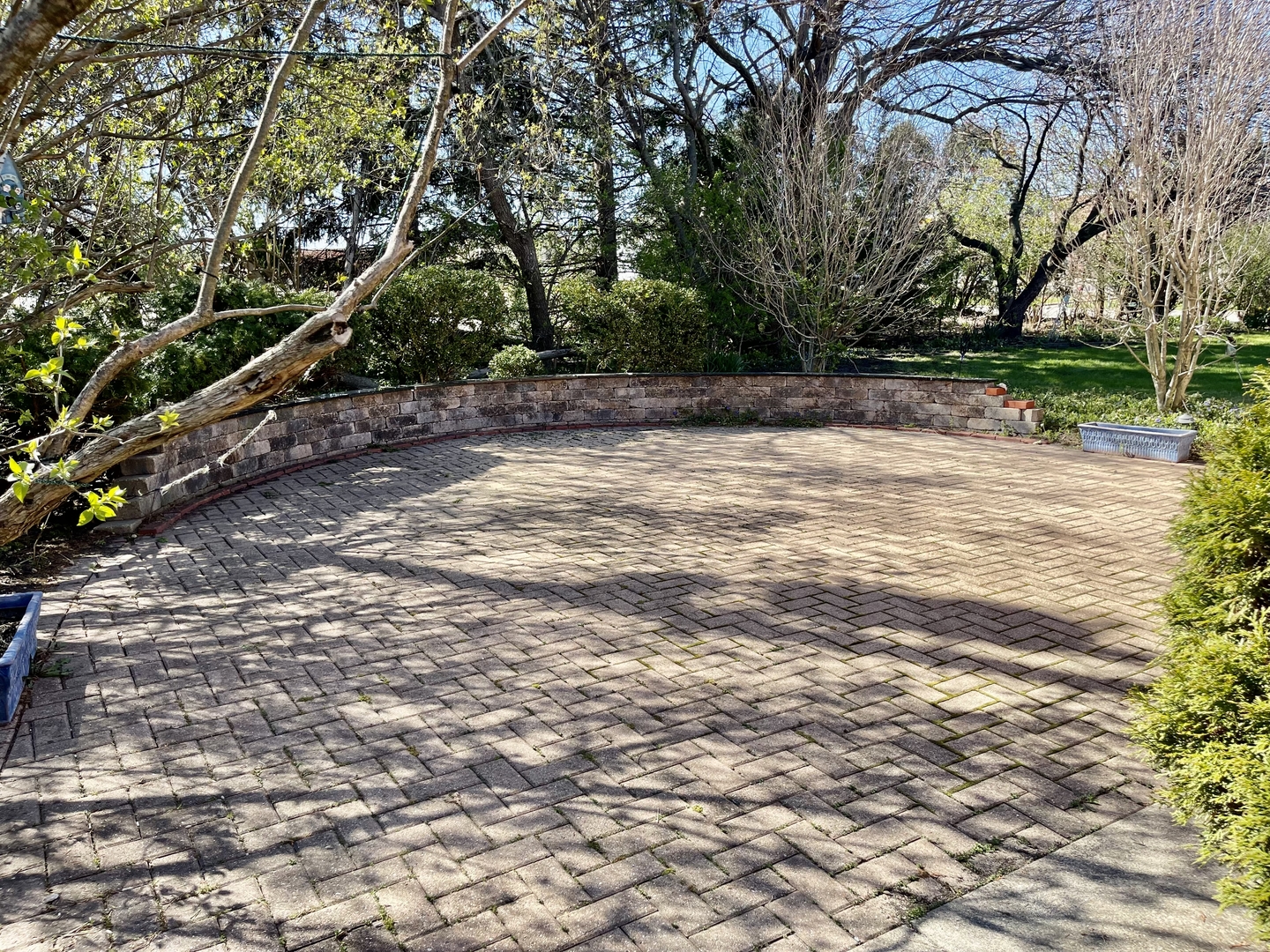 902 16th Street Peru, IL 61354 - Photo 23 of 23 a view of a yard with plants and trees