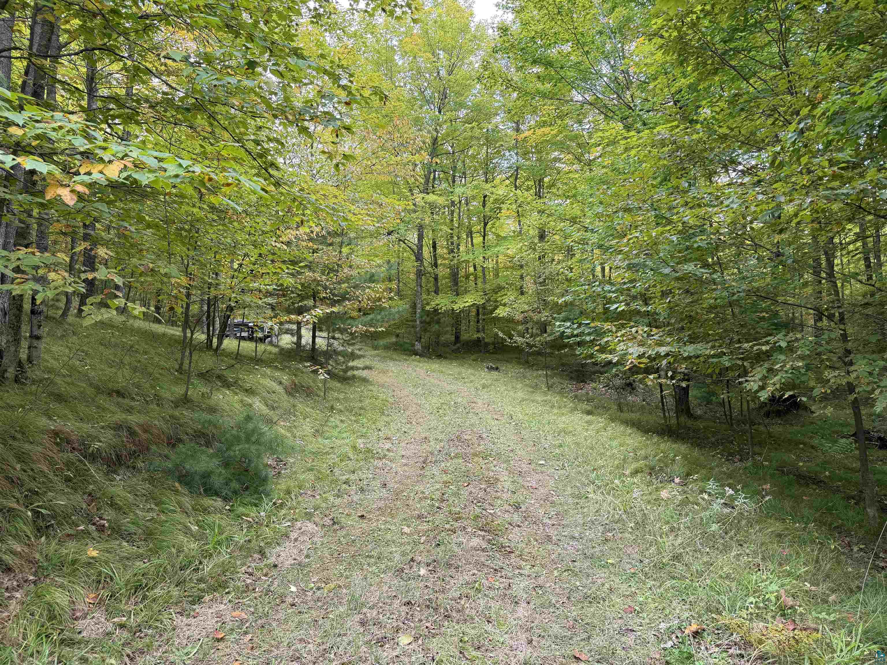 63380 Trout Lake Road Iron River, WI 54847 - Photo 34 of 36 View of yard featuring a view of trees