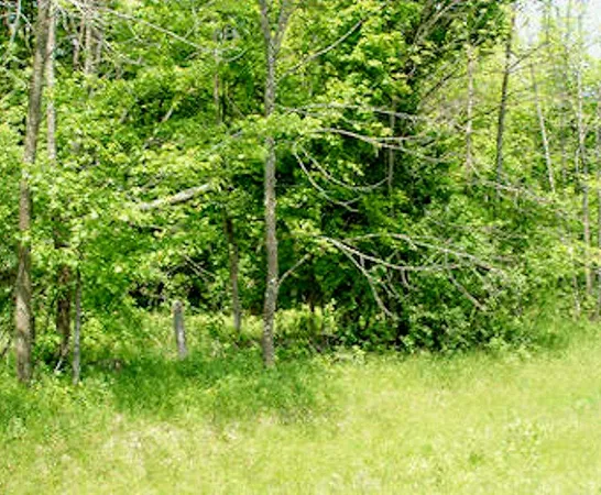 $22,500 | Lot 13 Margaret Lane, Park Falls, WI 54552