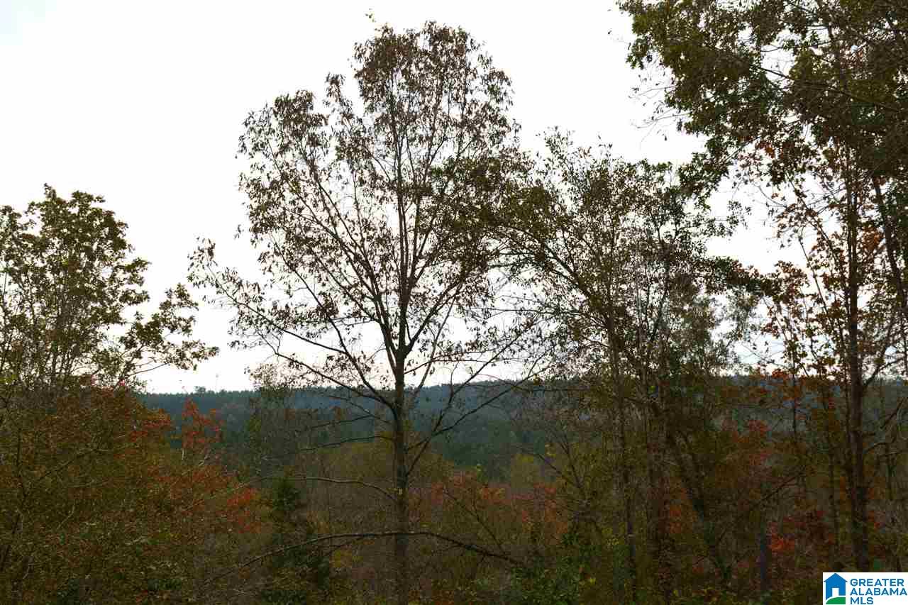 0 Jackson Loop Road, Unit 1 Ragland, AL 35131 - Photo 12 of 27