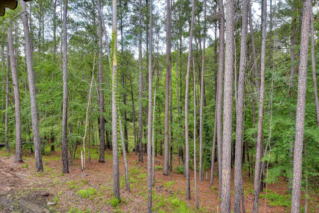 $229,900 | 315 Coastal Cove, McCormick, SC 29835