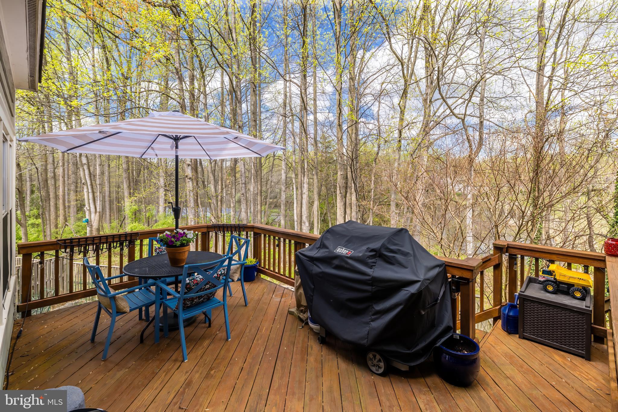 1233 Weatherstone Court Reston, VA 20194 - Photo 50 of 57
