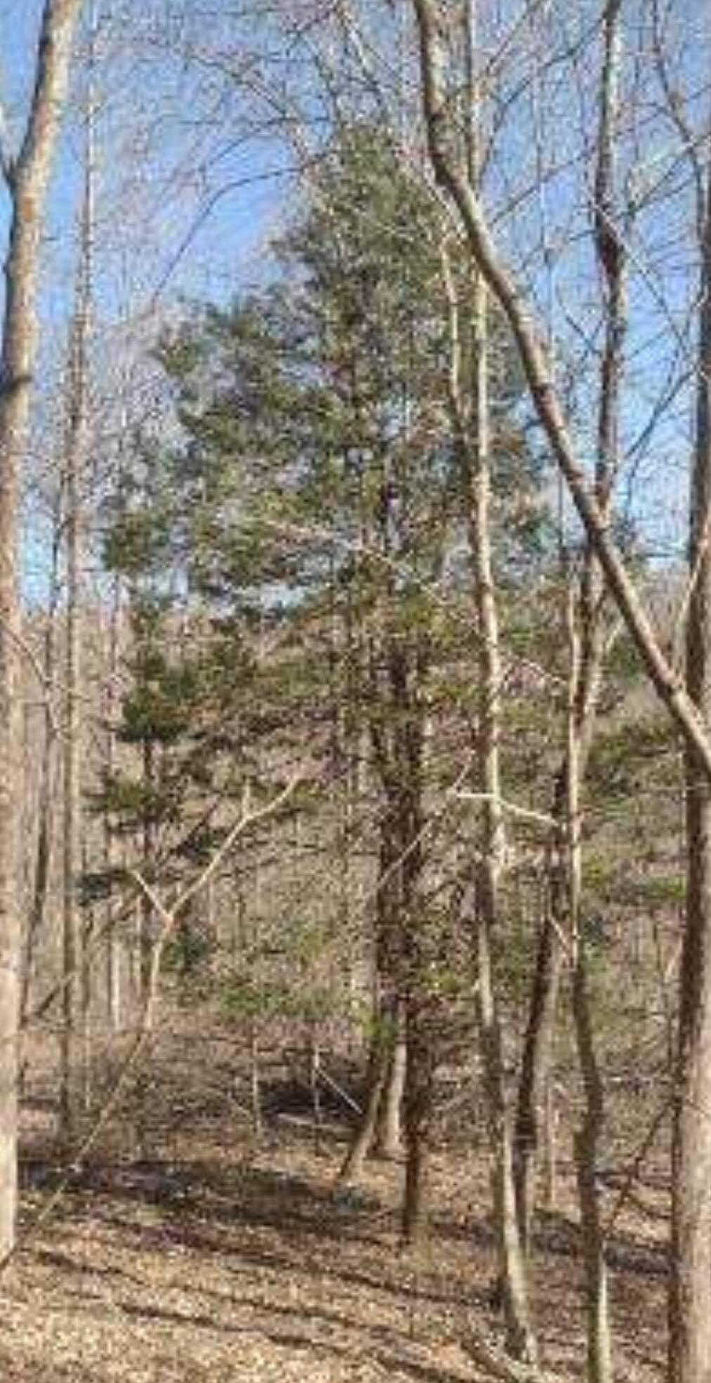 3 Pine Grove Road Beattyville, KY 41311 - Photo 7 of 17 63094482-85D8-4BDA-8F10-97EE1B99554A