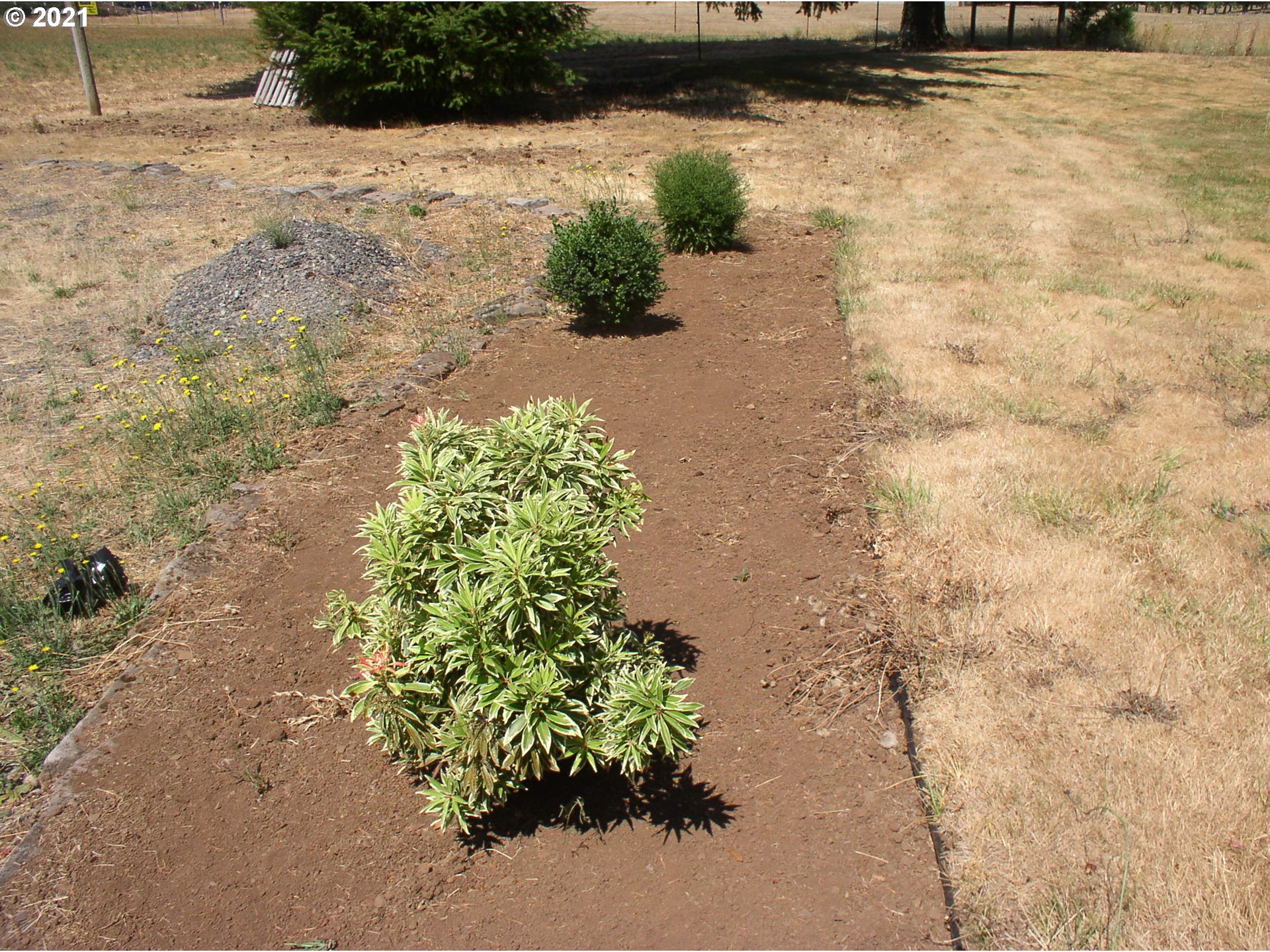 25180 South Springwater Road Estacada, OR 97023 - Photo 14 of 20 Garden