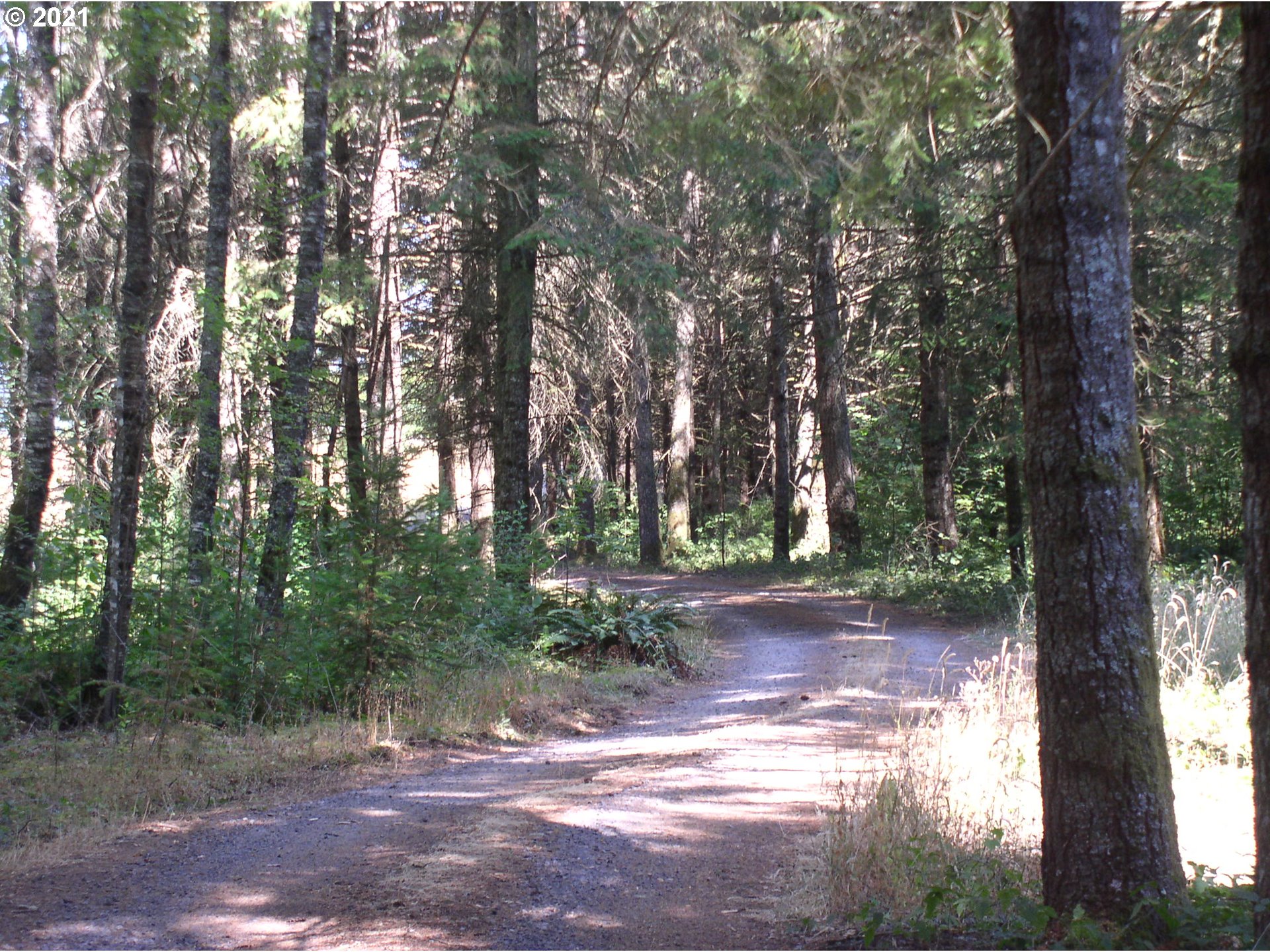 25180 South Springwater Road Estacada, OR 97023 - Photo 15 of 20 Driveway