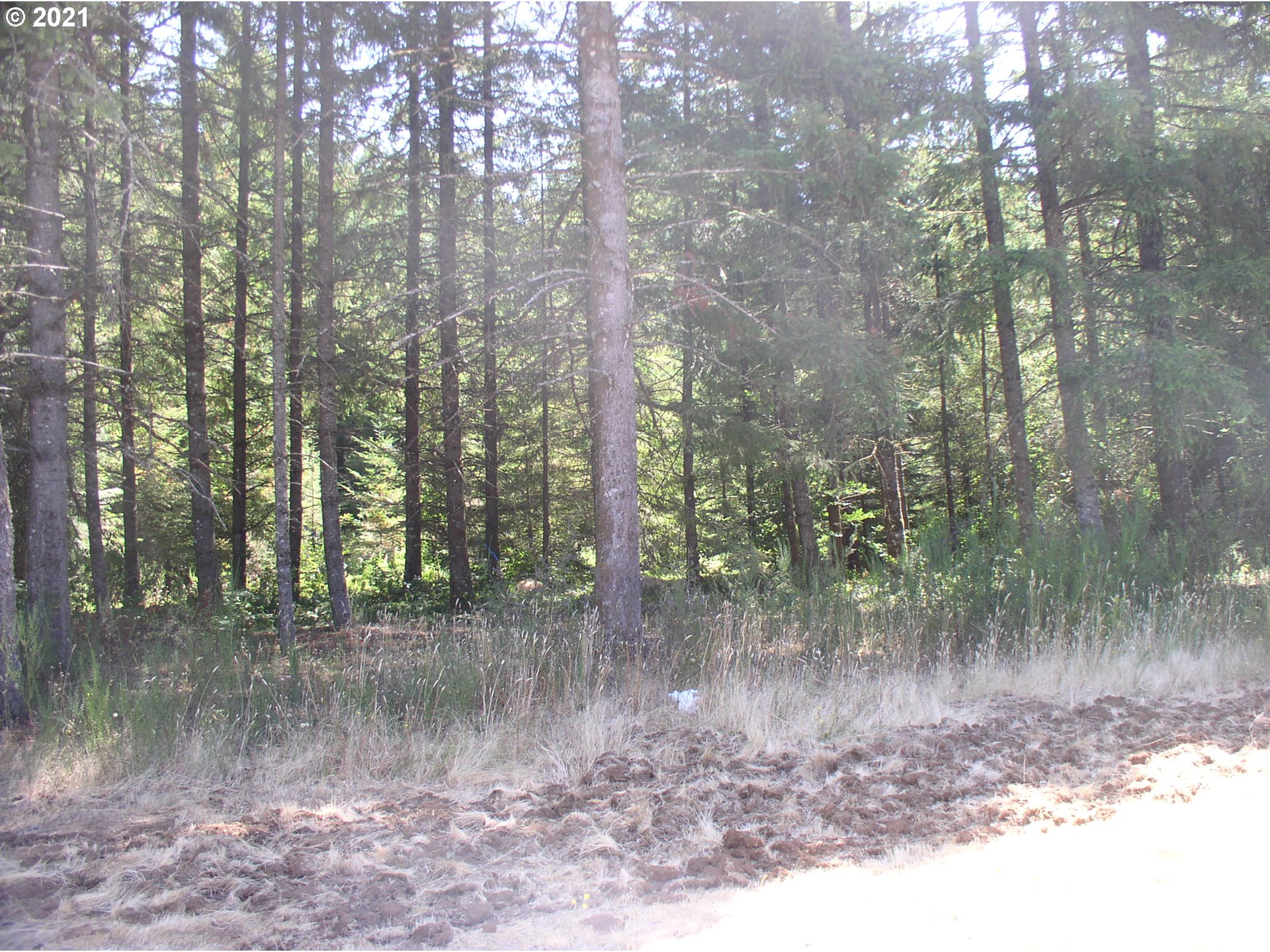 25180 South Springwater Road Estacada, OR 97023 - Photo 16 of 20 Gallery Image 16
