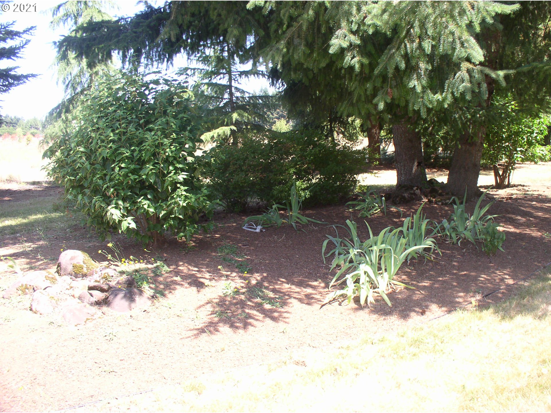 25180 South Springwater Road Estacada, OR 97023 - Photo 20 of 20 Garden