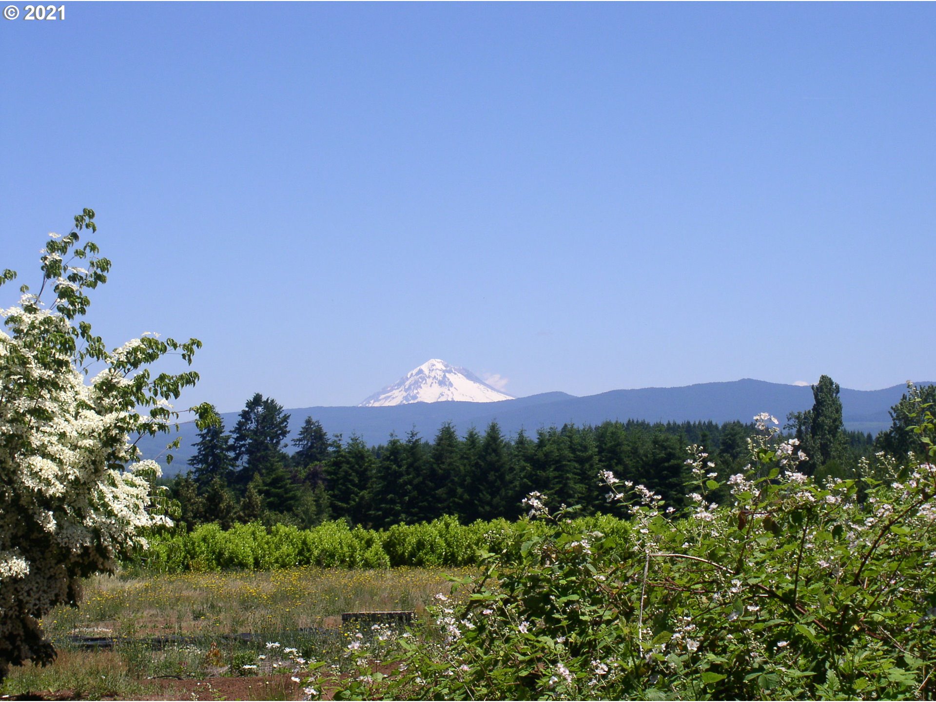 25180 South Springwater Road Estacada, OR 97023 - Photo 5 of 20 View