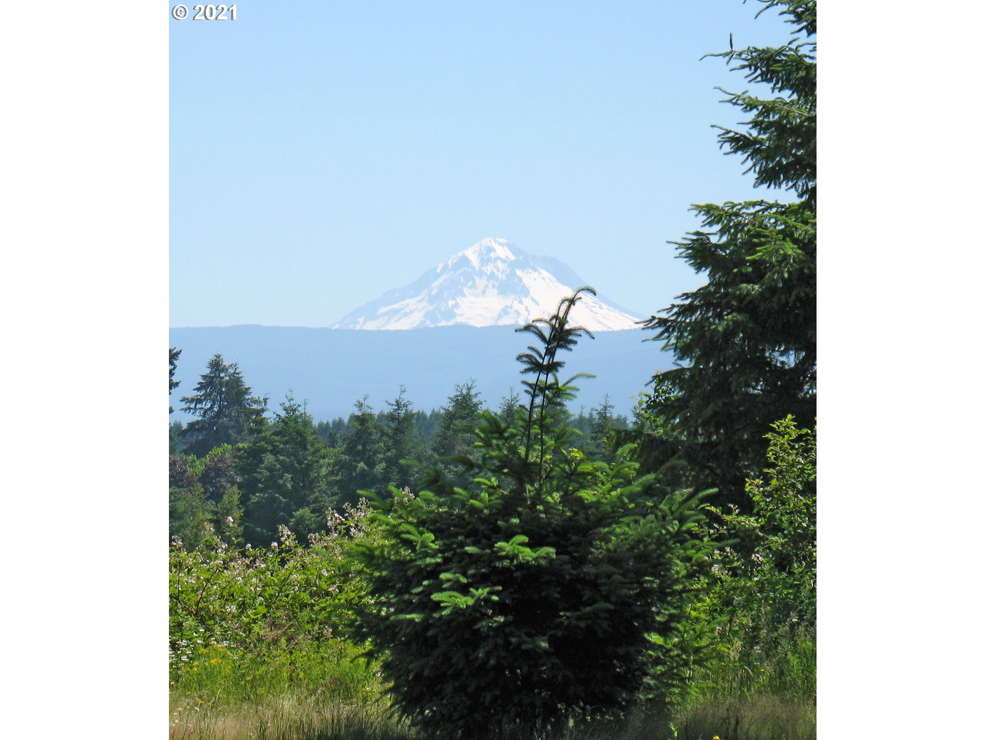 25180 South Springwater Road Estacada, OR 97023 - Photo 6 of 20 View