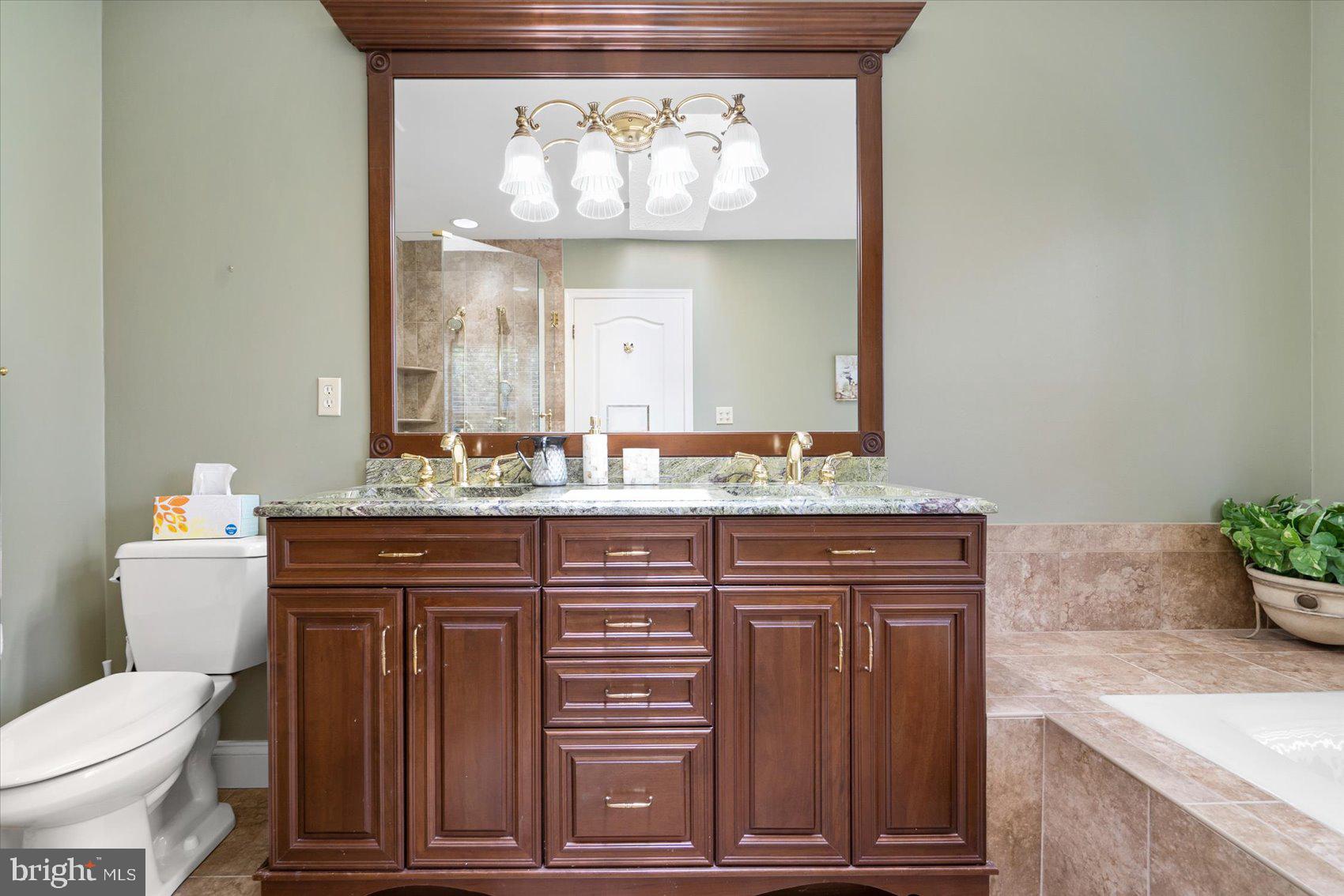 6921 Diana Road Baltimore, MD 21209 - Photo 21 of 47 Primary Bathroom