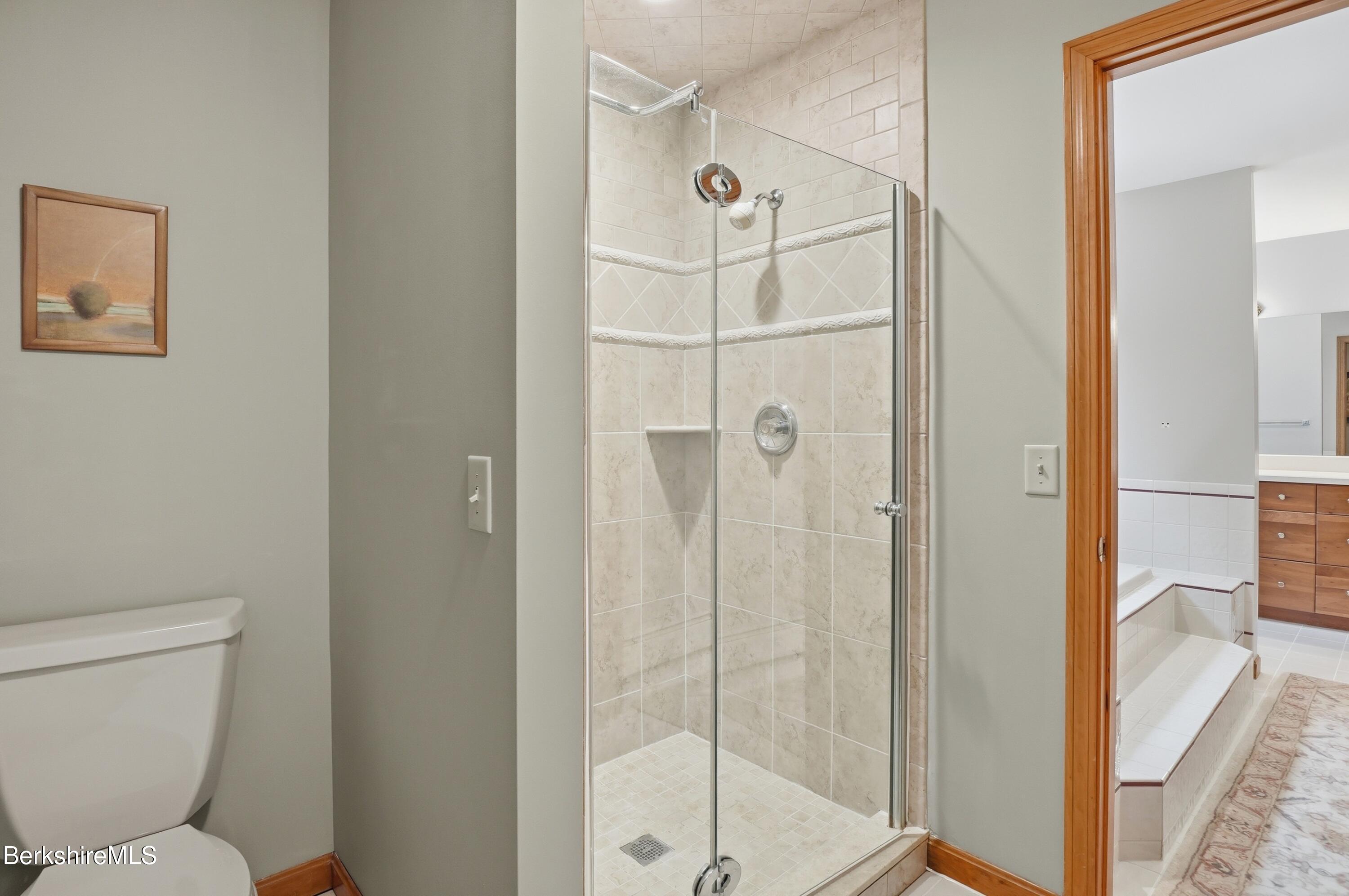 36 Meadow Ridge Drive Pittsfield, MA 01201 - Photo 34 of 54 dsc08616