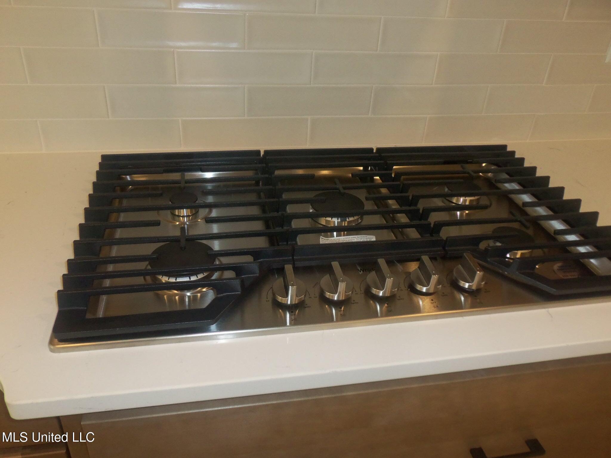 3364 Blooming Grv Road Olive Branch, MS 38654 - Photo 15 of 38 100_1364