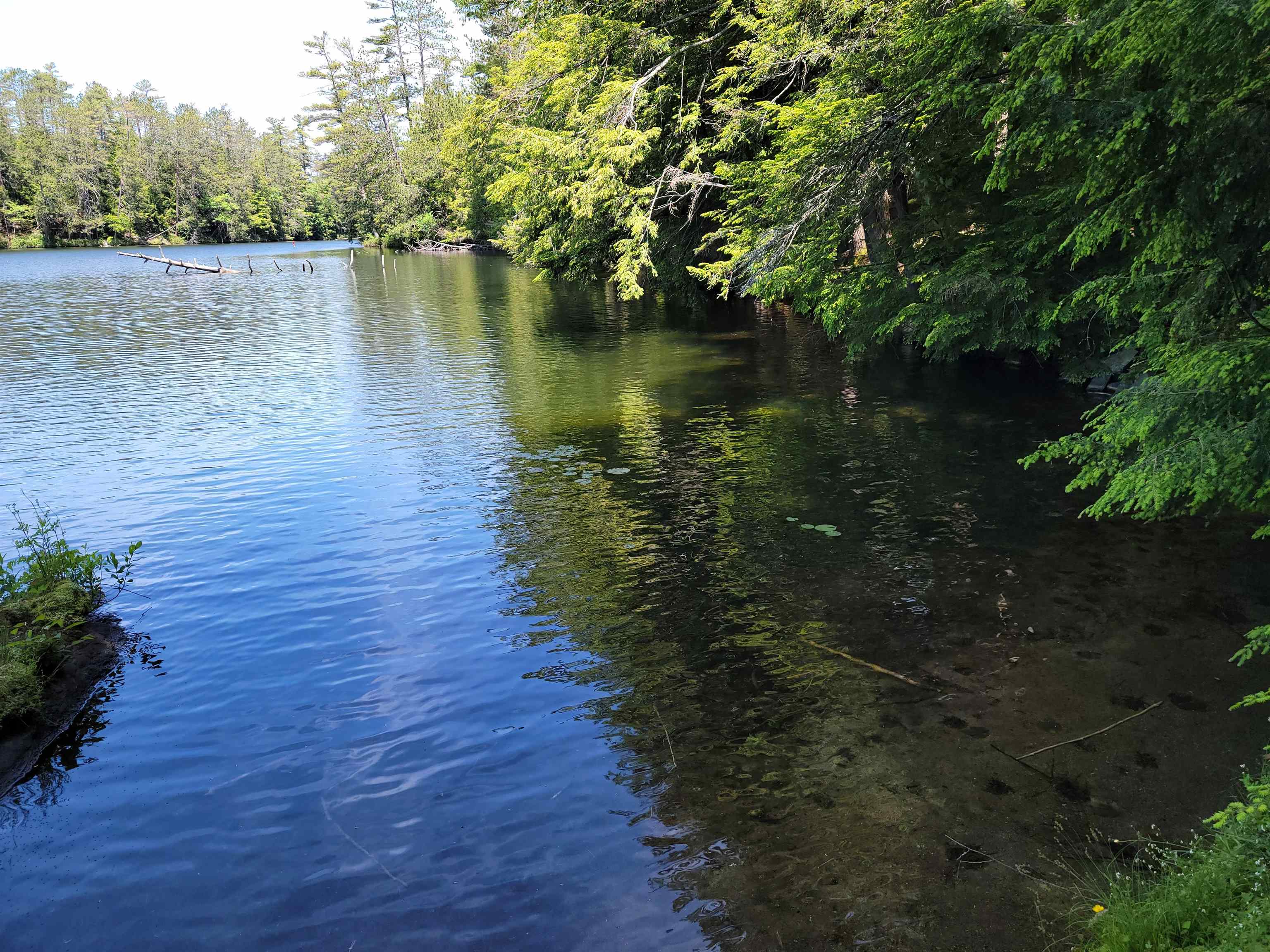 240 Poulsen's Point Road Littleton, NH 03561 - Photo 19 of 32