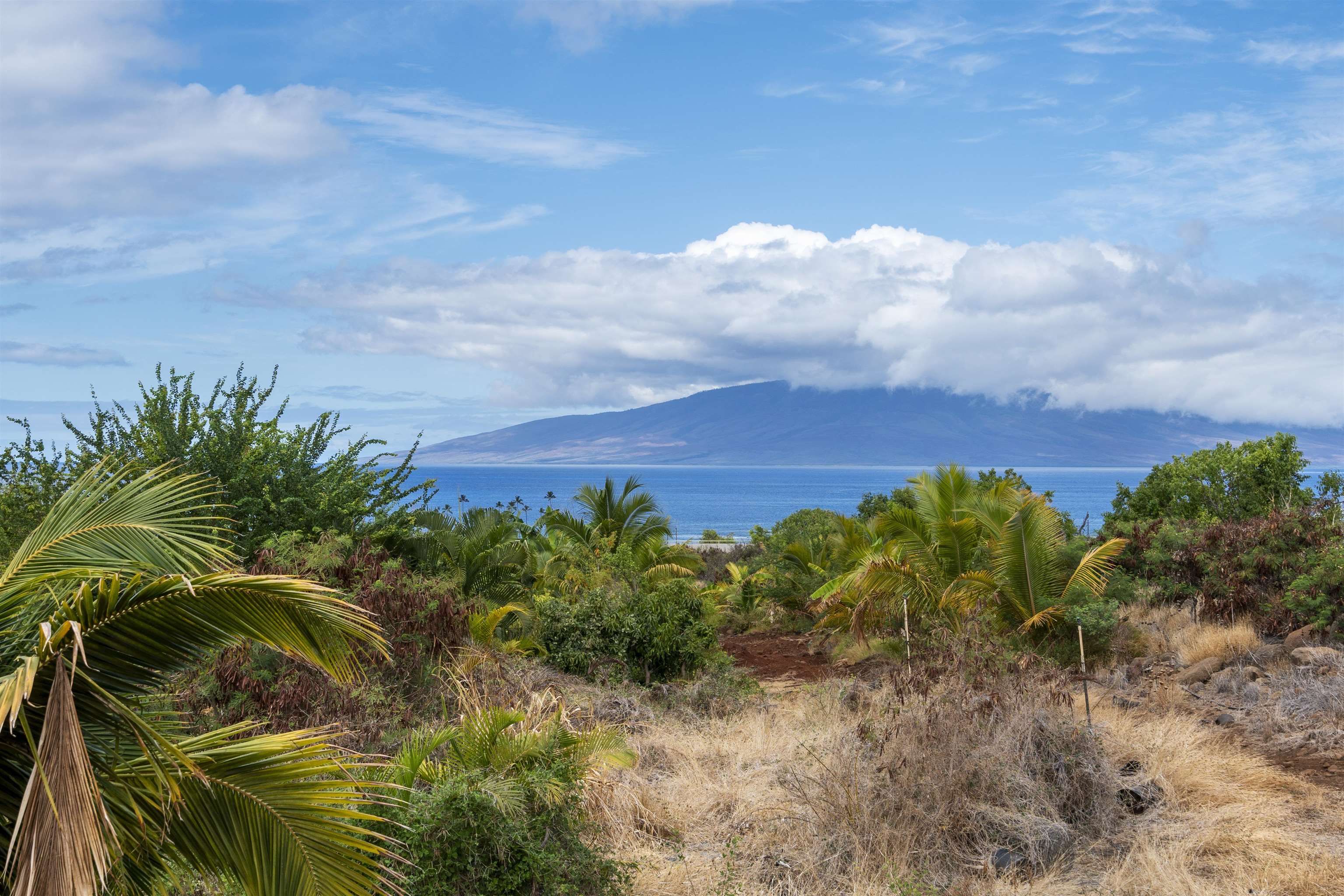 Hokiokio Place, Unit B Lahaina, HI 96761 - Photo 2 of 15